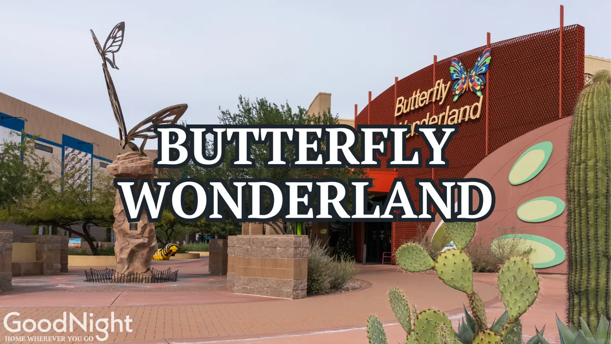 The exterior shot showcases a large butterfly sculpture and the Butterfly Wonderland sign, surrounded by desert landscaping and cacti. The whimsical and playful setting visually introduces one of the local attractions recommended for families.